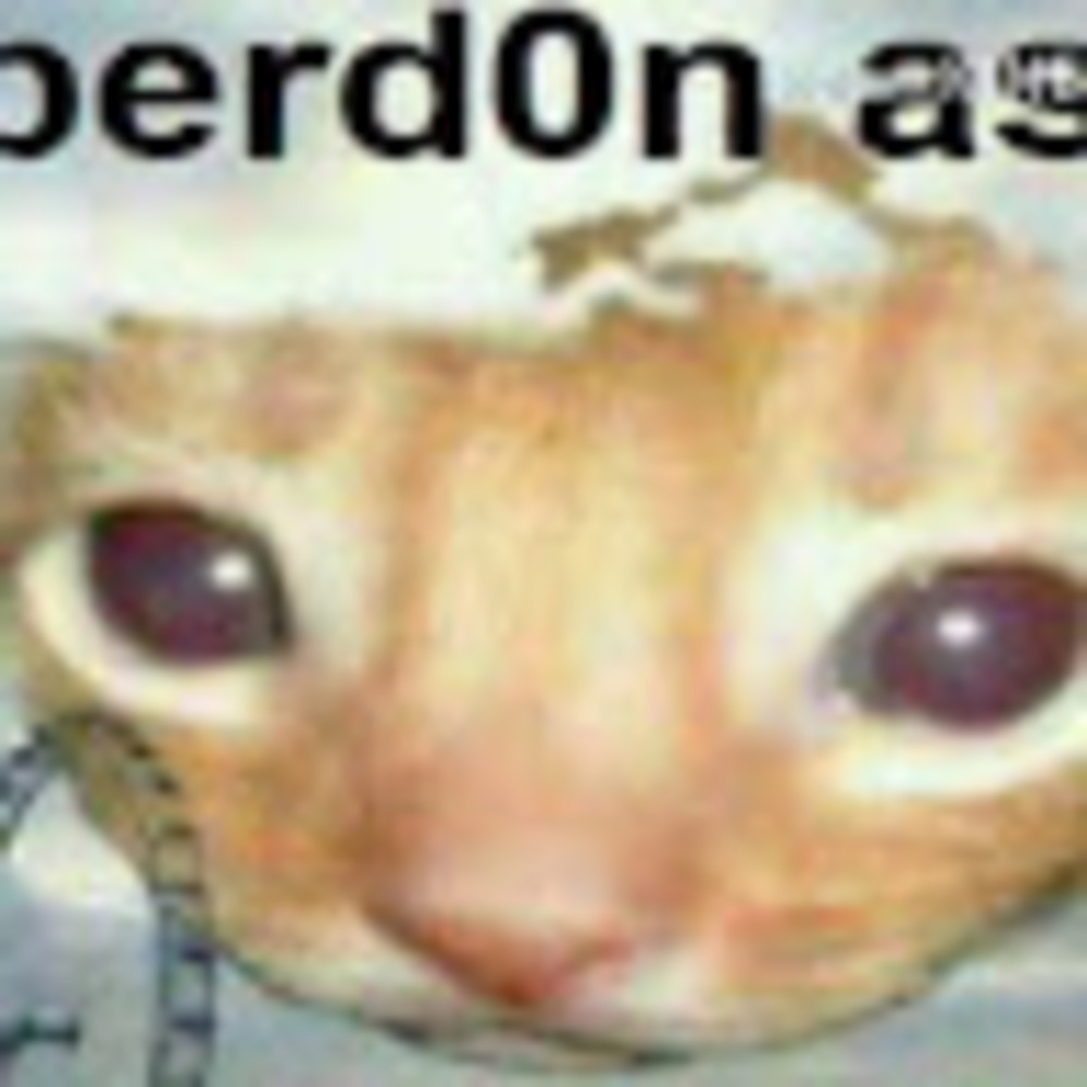 Meet your Posher, Abbi